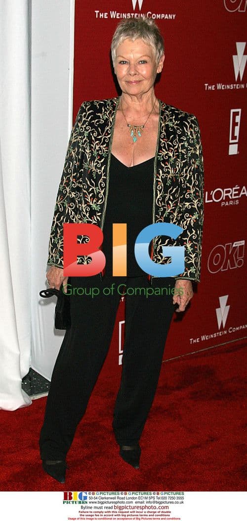 Dame Judi Dench at 2006 Weinstein Pre Oscars Party