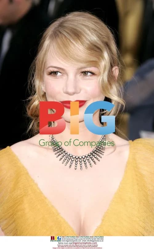 MICHELLE WILLIAMS at 78th Oscars