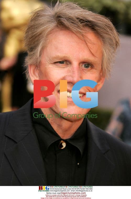 Gary Busey at 78th Academy Awards