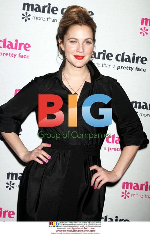 Drew Barrymore at UN World Food Program Benefit