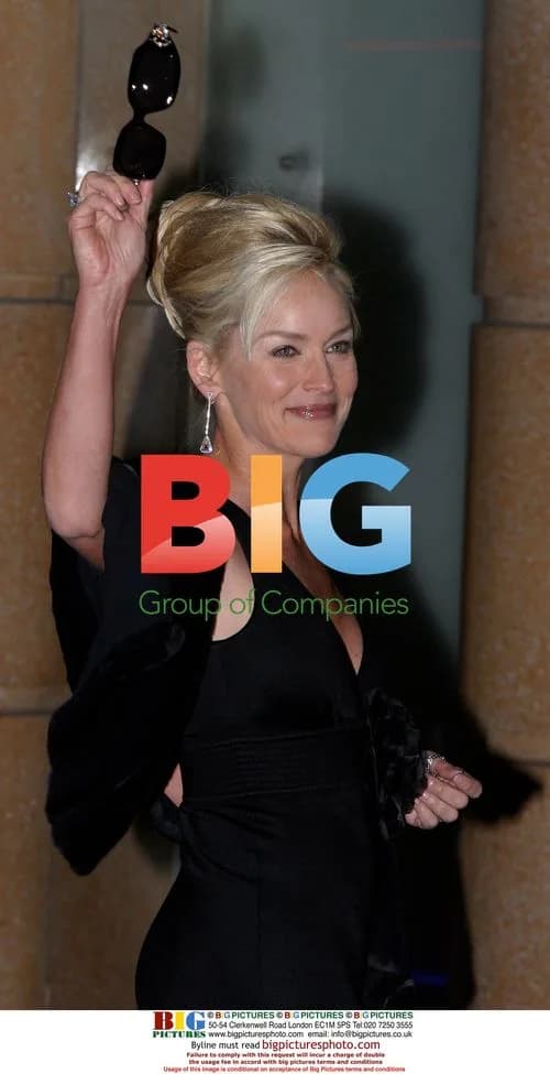 Sharon Stone Attends 'Basic Instinct II' World Premiere