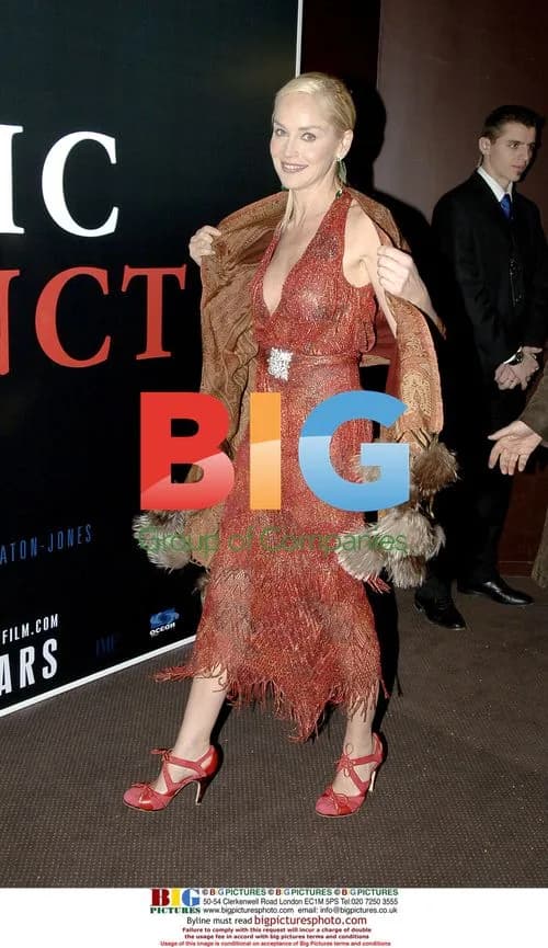 Sharon Stone at 'Basic Instinct 2' Paris Premiere