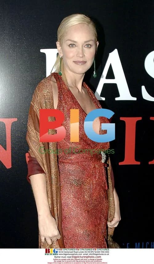 Sharon Stone at 'Basic Instinct 2' Paris Premiere