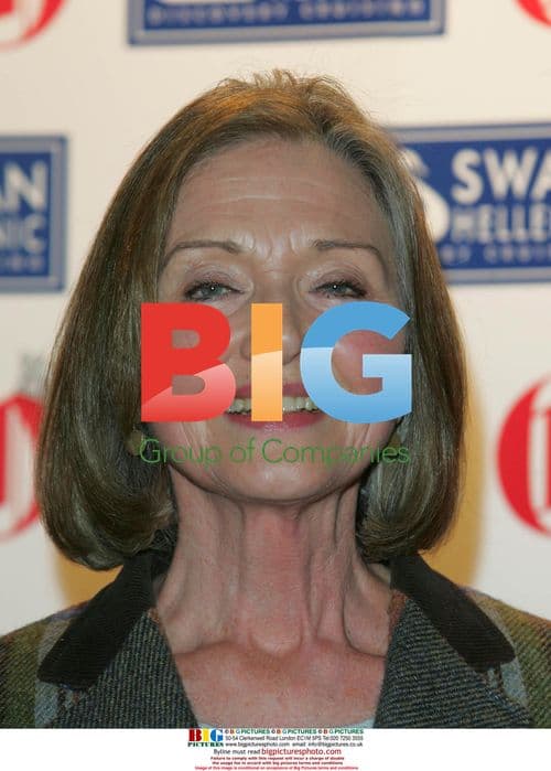 Journalist Anna Ford at Oldie Awards 2006