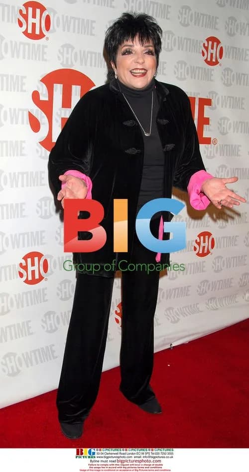 Liza Minnelli at 'Liza With A Z' Premiere