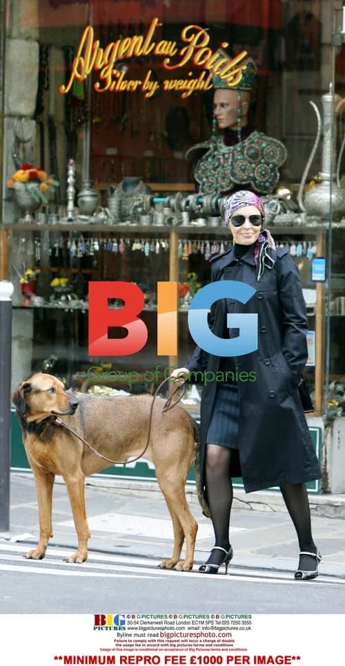 Kylie Minogue Steps Out in Paris with Olivier Martinez's Dog