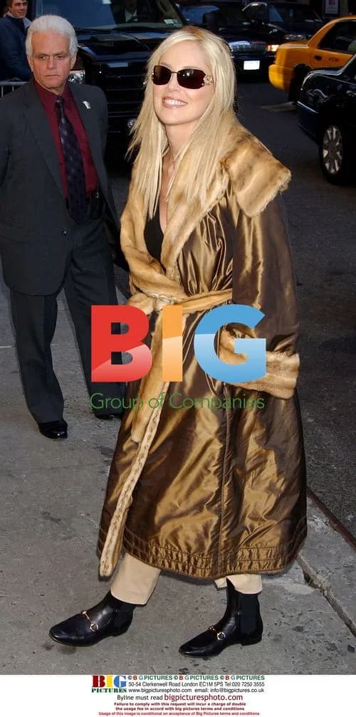 Sharon Stone on Late Show with David Letterman
