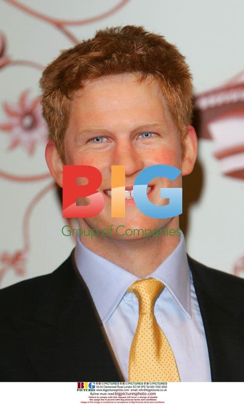 Prince Harry Waxwork Launch