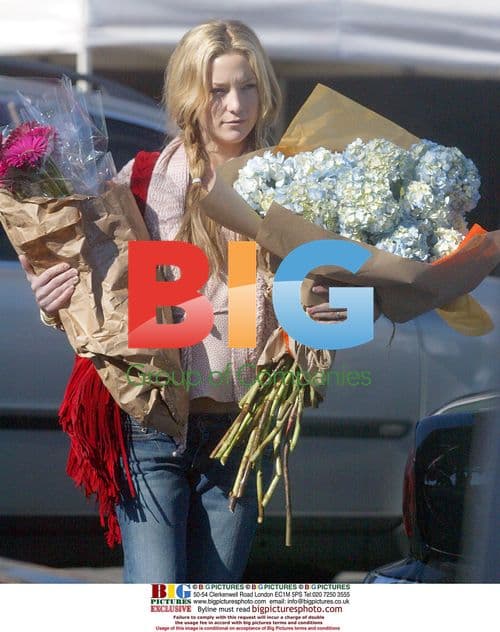 Kate Hudson and Family Grocery Shopping