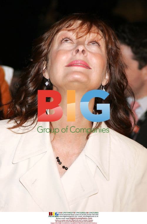 Susan Sarandon at 'Mission Impossible III' premiere