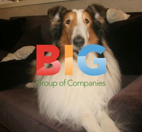 Lassie Promotes New Dog Food Line
