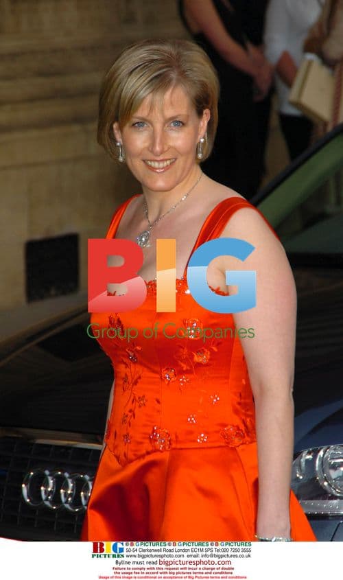 The Countess of Wessex at NSPCC Dream Auction