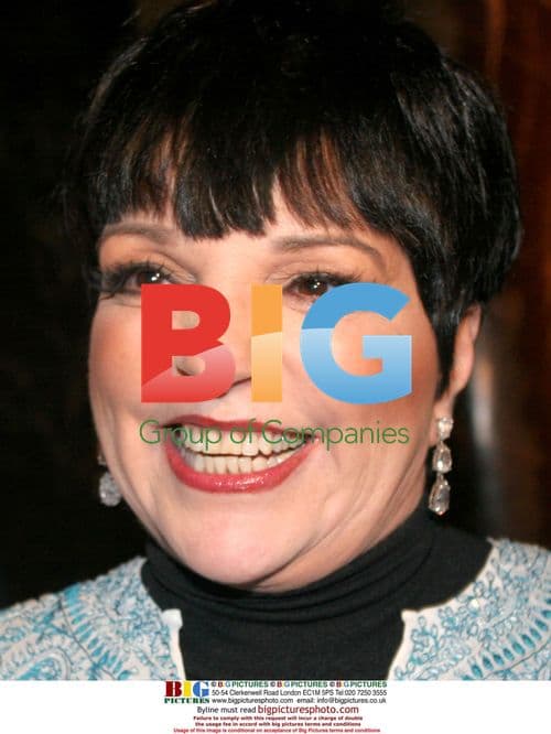 Liza Minnelli at Hispanic Ballet in NYC