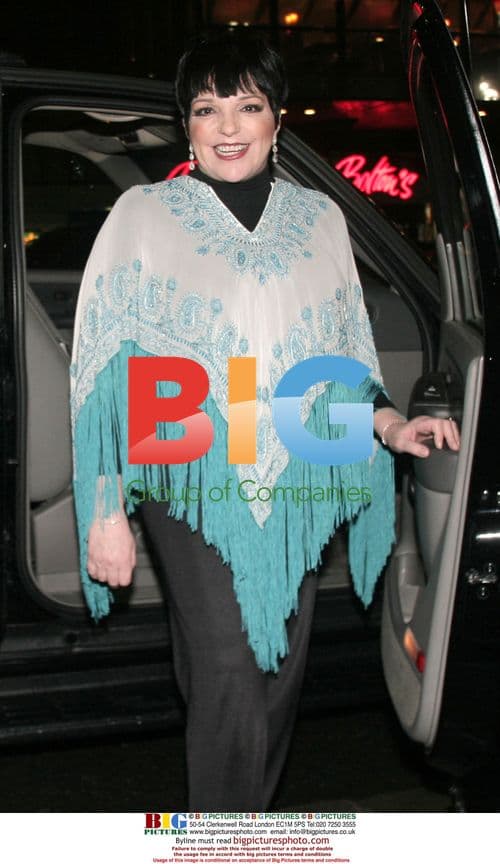 Liza Minnelli poses at Hispanic Ballet in NYC