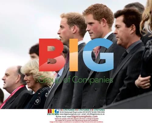 Princes Harry and William with Camilla