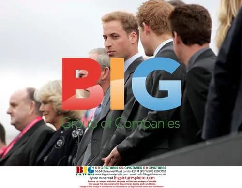 Princes Harry and William with Camilla