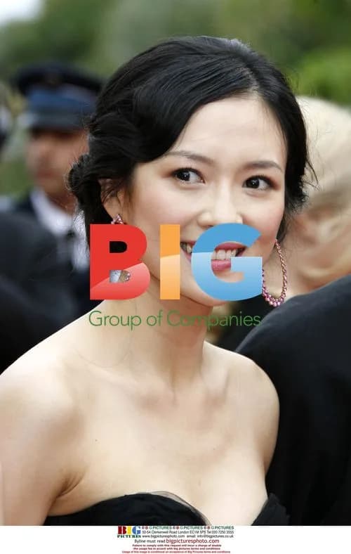 Ziyi Zhang at 'Babel' Cannes Premiere