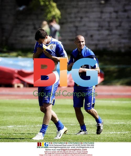 Zlatan Ibrahimovic with Swedish soccer team