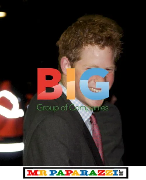 Princes William and Harry at Royal Trust Concert