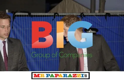 Princes William and Harry at Royal Princes Trust concert