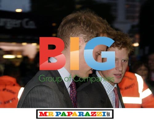 Princes William and Harry at Royal Trust Concert