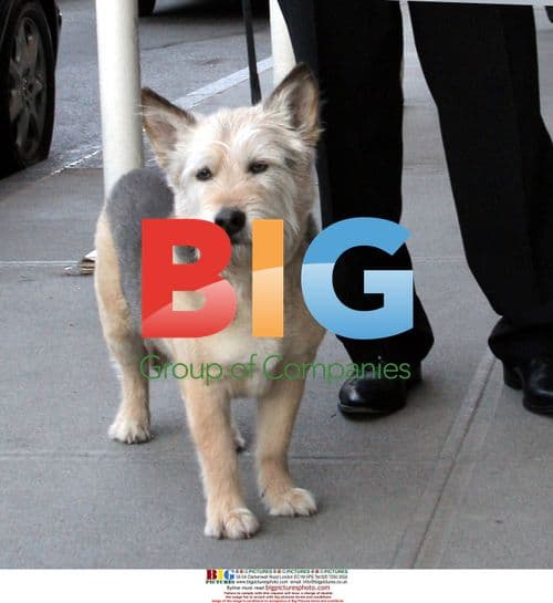 Jennifer Aniston Swarmed By Photographers