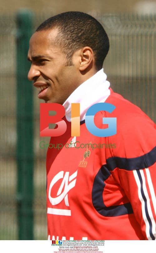 Gregory Coupet, Thierry Henry at France training