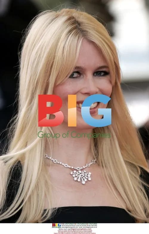 Claudia Schiffer at 'Transylvania' Premiere