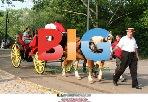 Sarah Michelle Gellar and Jay Rodan film 'The Girl's Guide'