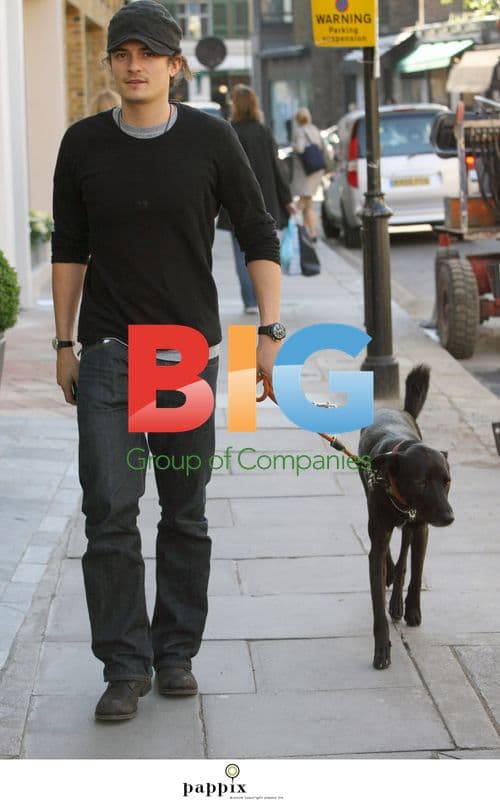 Orlando Bloom and Kate Bosworth take dog for walk