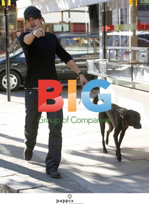 Orlando Bloom and Kate Bosworth Walk Dog