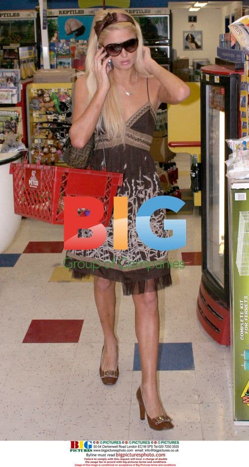Paris Hilton at Pet Co. and Nail Salon