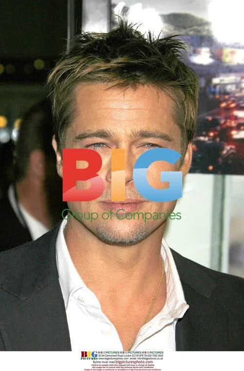 Brad Pitt at Babel movie premiere