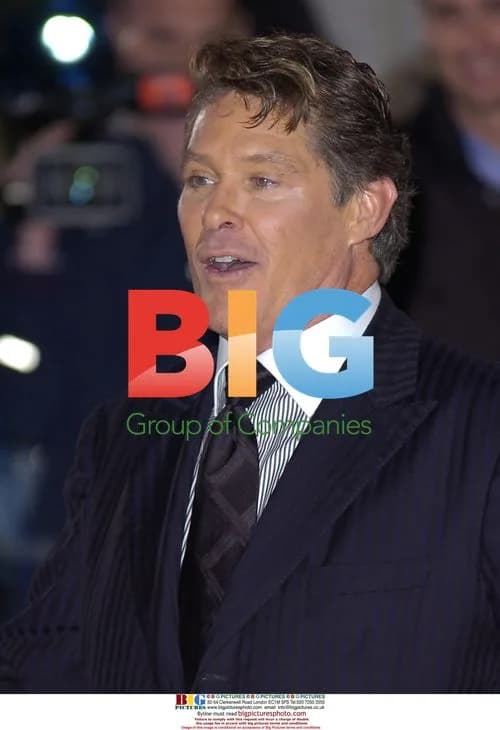 David Hasselhoff at Pride of Britain Awards 2006