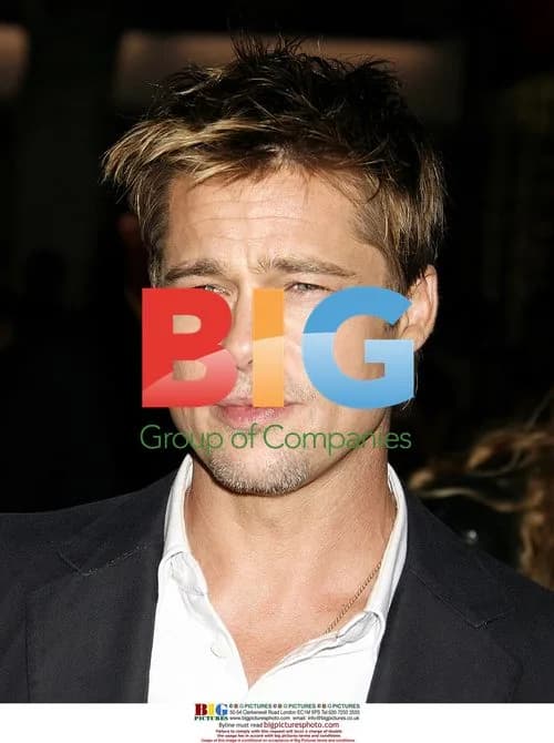 Brad Pitt at "Babel" Premiere