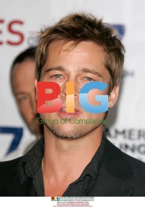Brad Pitt Shows Off Gold Tooth
