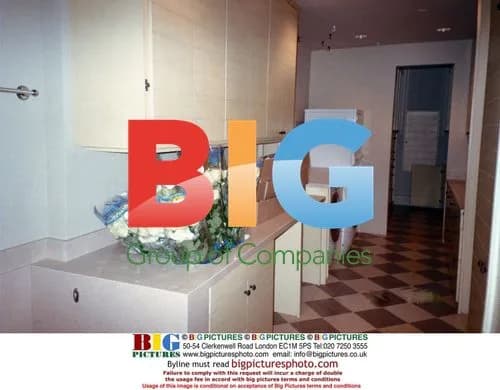 Madonna's Beverly Hills Kitchen