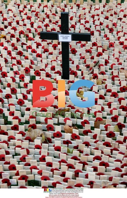 Field of Remembrance Opening at Westminster Abbey