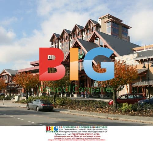 Denise Richards throws laptop, injures 2