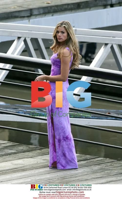 Denise Richards throws paparazzi's laptop off balcony