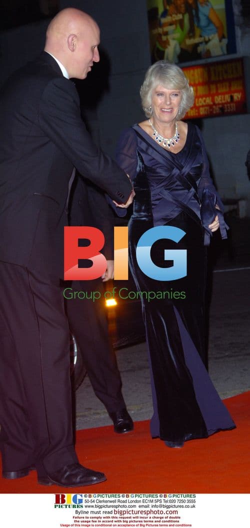 HRH Camilla The Duchess of Cornwall at Princes Trust Gala