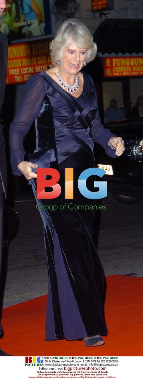 Duchess of Cornwall at Princes Trust Gala