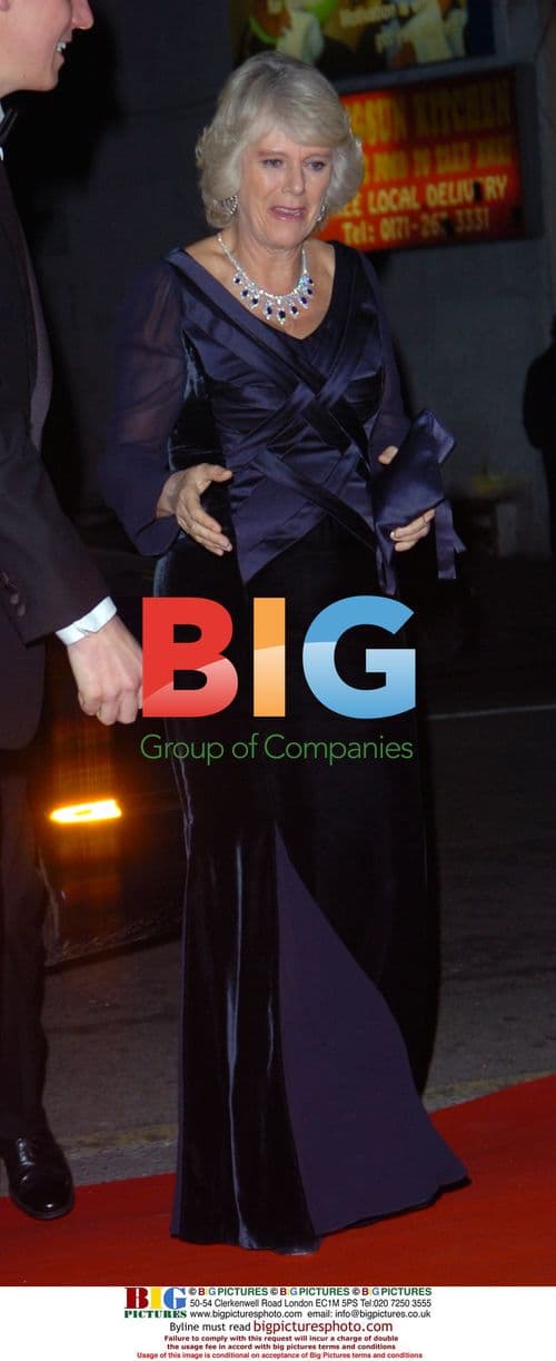 HRH Camilla at Princes Trust Gala 2006