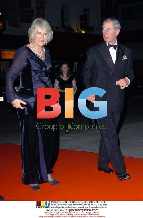 Prince Charles and Camilla at Princes Trust Gala