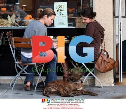 Jessica Biel takes dog for walk, loses shoe