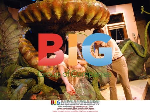 The Little Shop Of Horrors musical production