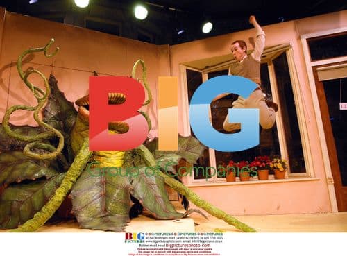 The Little Shop Of Horrors musical production