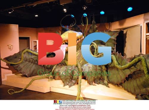 The Little Shop Of Horrors musical production