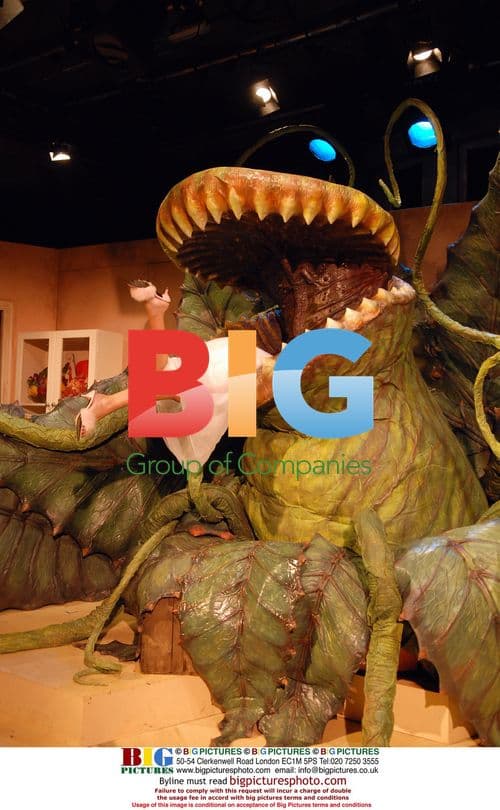 The Little Shop Of Horrors at Menier Chocolate Factory