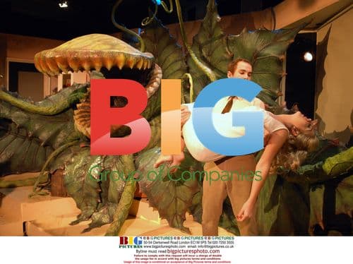 The Little Shop Of Horrors musical production